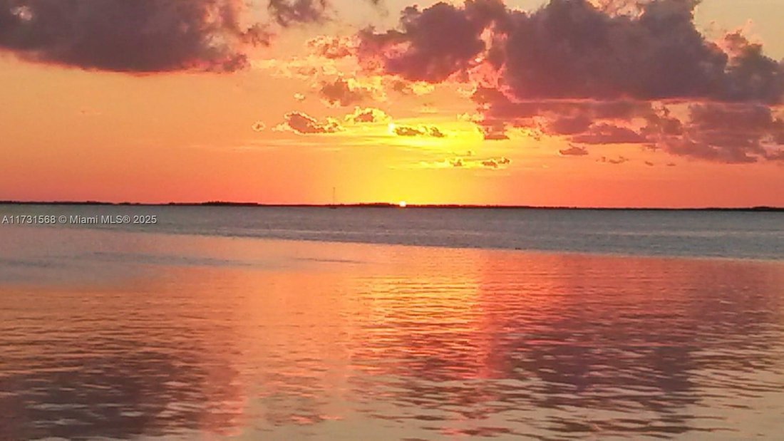 House in Key Largo, Florida, United States 4 - 16366977