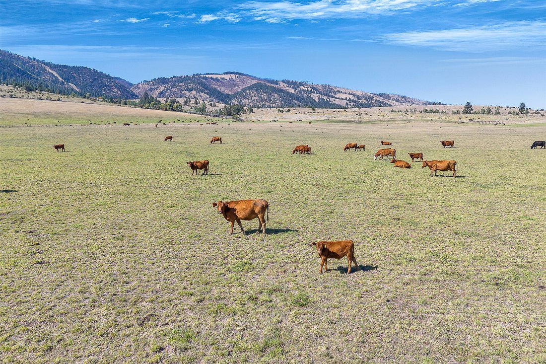 Land in Florence, Montana, United States 2 - 16386316