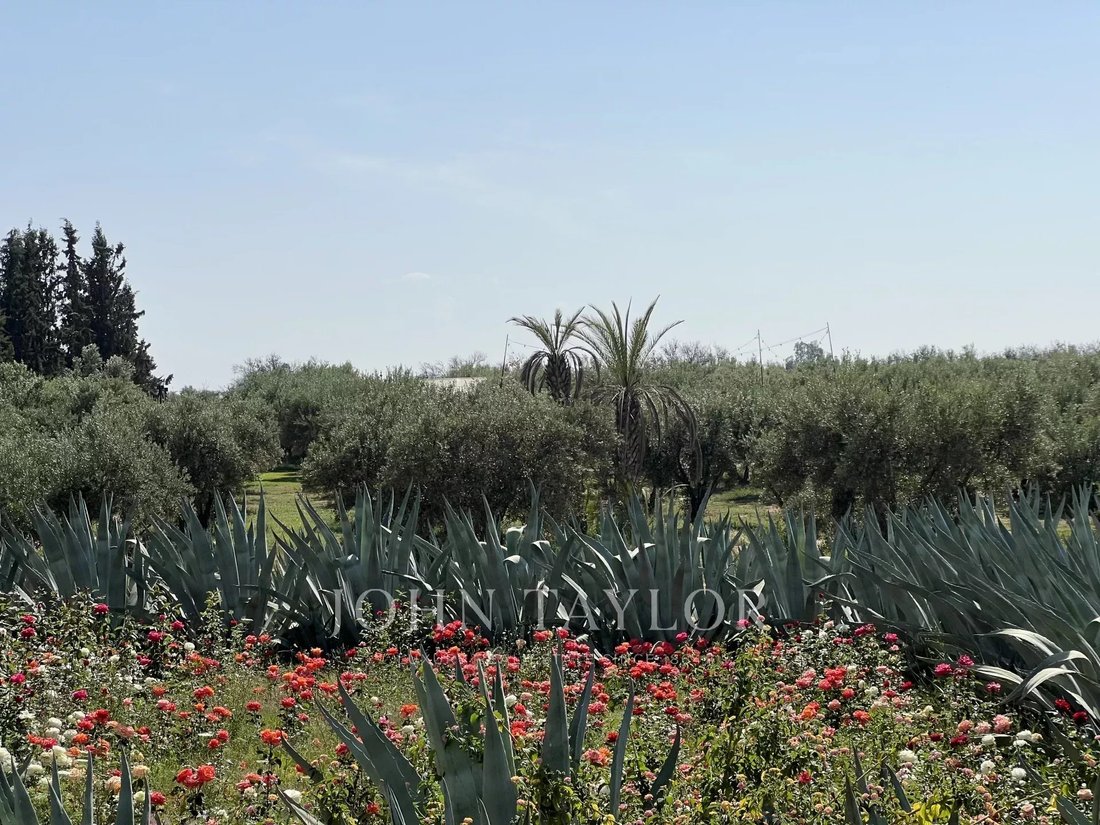 Villa in Menara, Marrakesh-Safi, Morocco 5 - 15338487