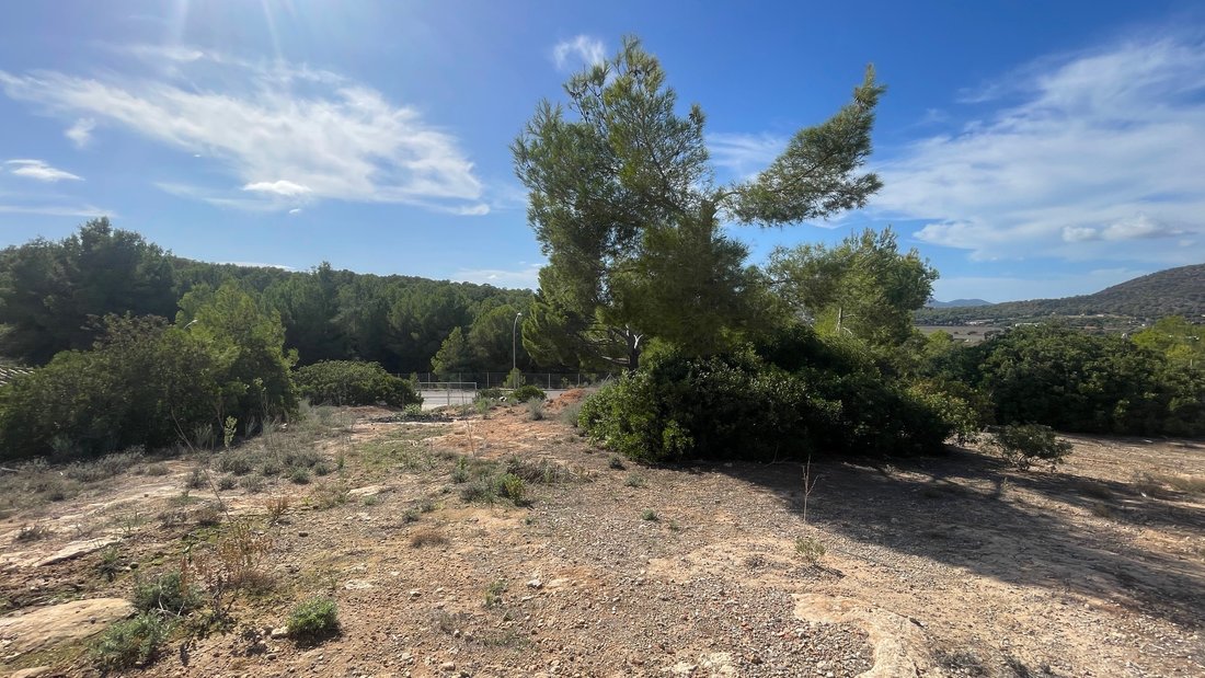 Land in Calvia, Balearic Islands, Spain 1 - 16372429