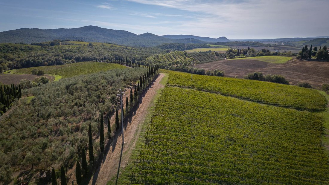 Country House in Manciano, Tuscany, Italy 3 - 16371775