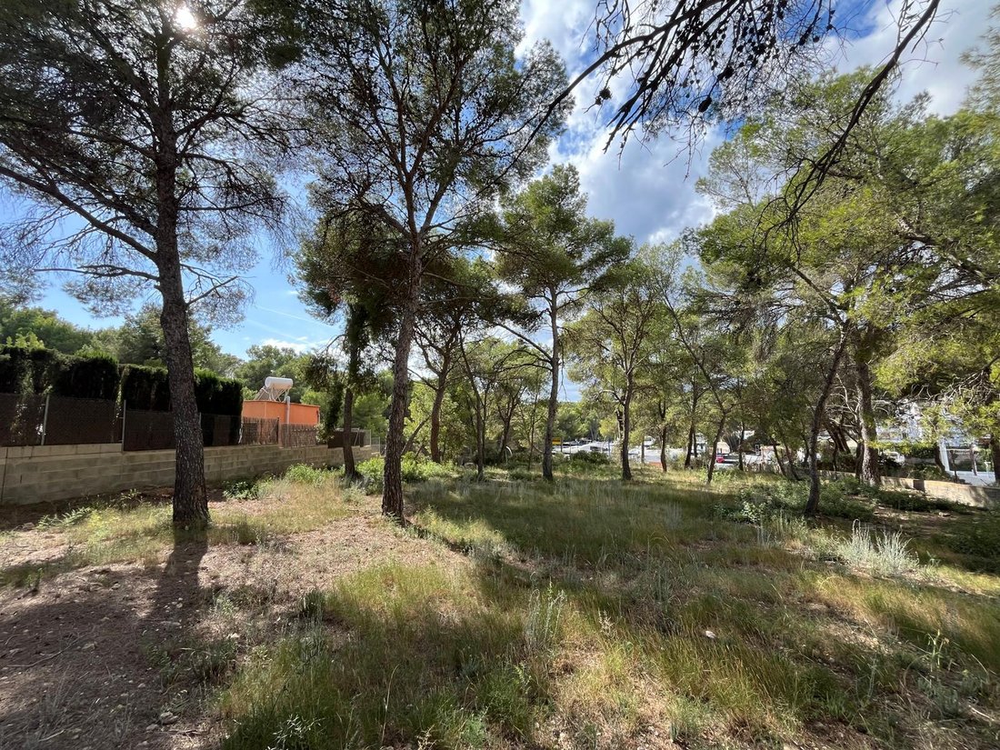 Land in Santa Ponsa, Balearische Inseln, Spanien 1 - 16329569