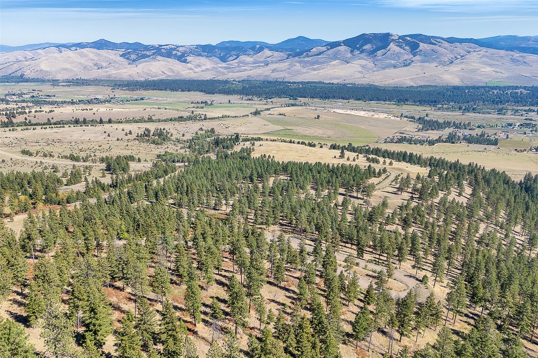 Land in Florence, Montana, United States 2 - 16386332