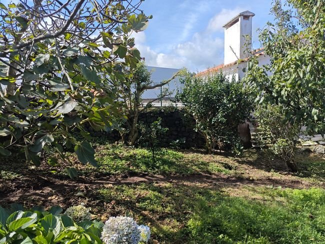 House in Sao Vicente Ferreira, Azores, Portugal 5 - 16382667