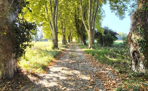 Sumptuous Castle Park Over One Hectare
