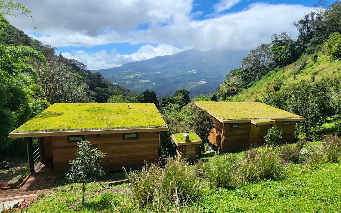 Chalet in Los Naranjos, Chiriquí Province, Panama 4 - 15073219