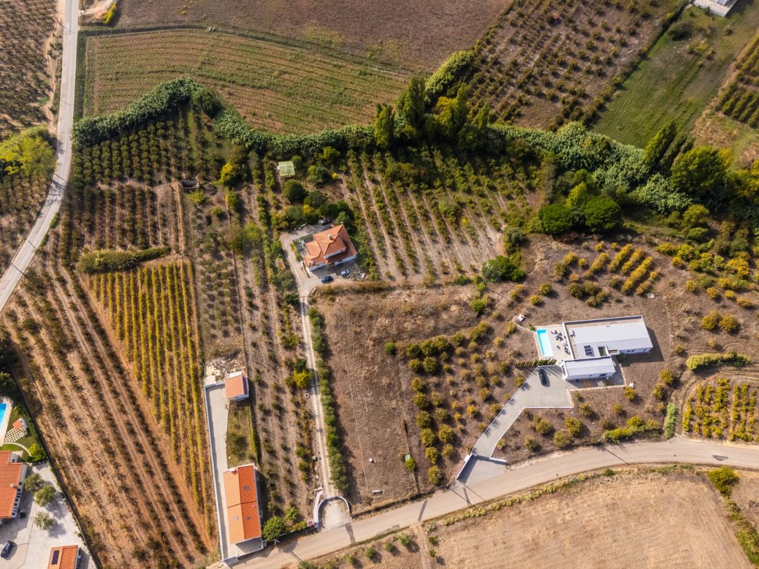 Finca in Carvalhal, Leiria District, Portugal 5 - 16386905