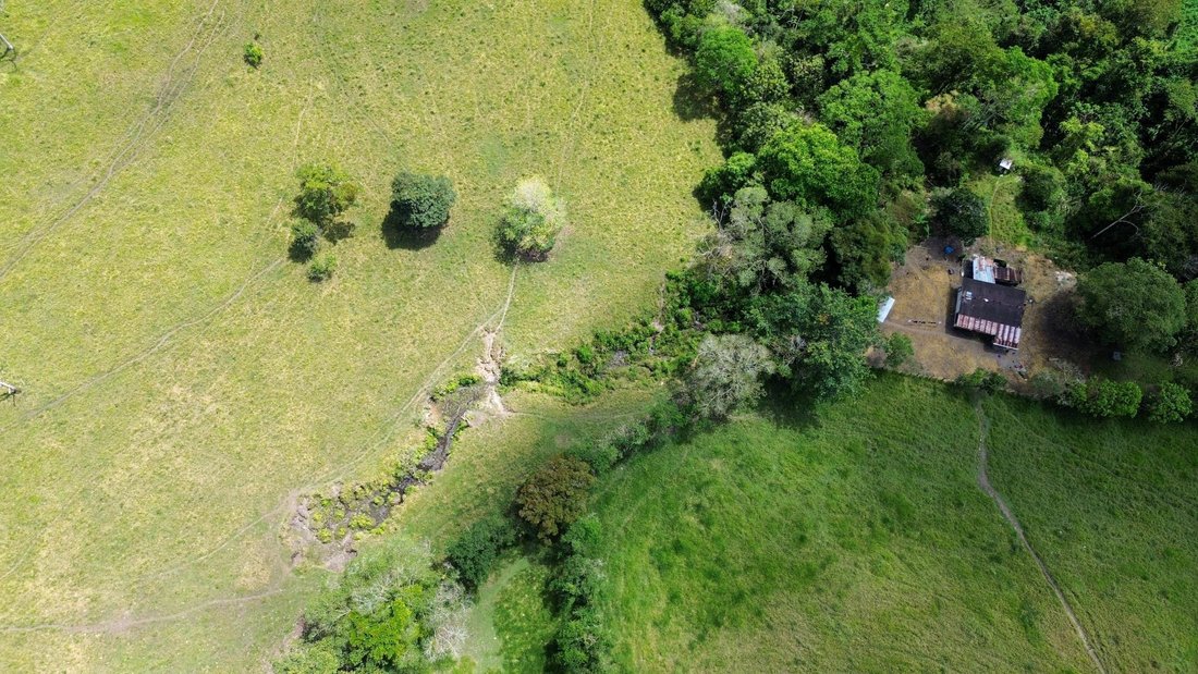 Finca in Plaza de Caisan, Chiriquí Province, Panama 1 - 16388310