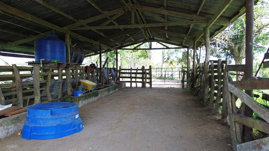 Finca in Plaza de Caisan, Chiriquí Province, Panama 3 - 16388310