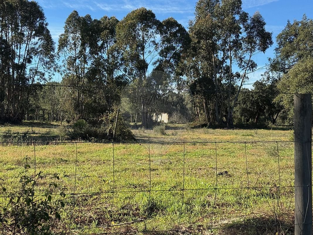 Land in Poceirao e Marateca, Setubal, Portugal 3 - 16386729