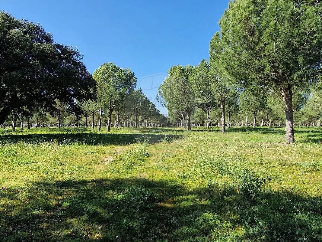 Terreno a Poceirao e Marateca, Setúbal Municipality, Portogallo 2 - 16386729