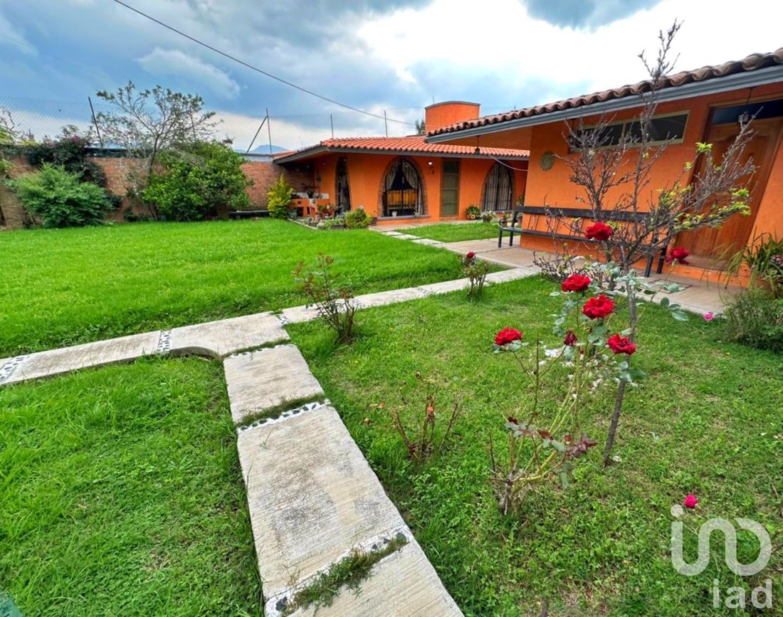 House in Mexico 3 - 16386917