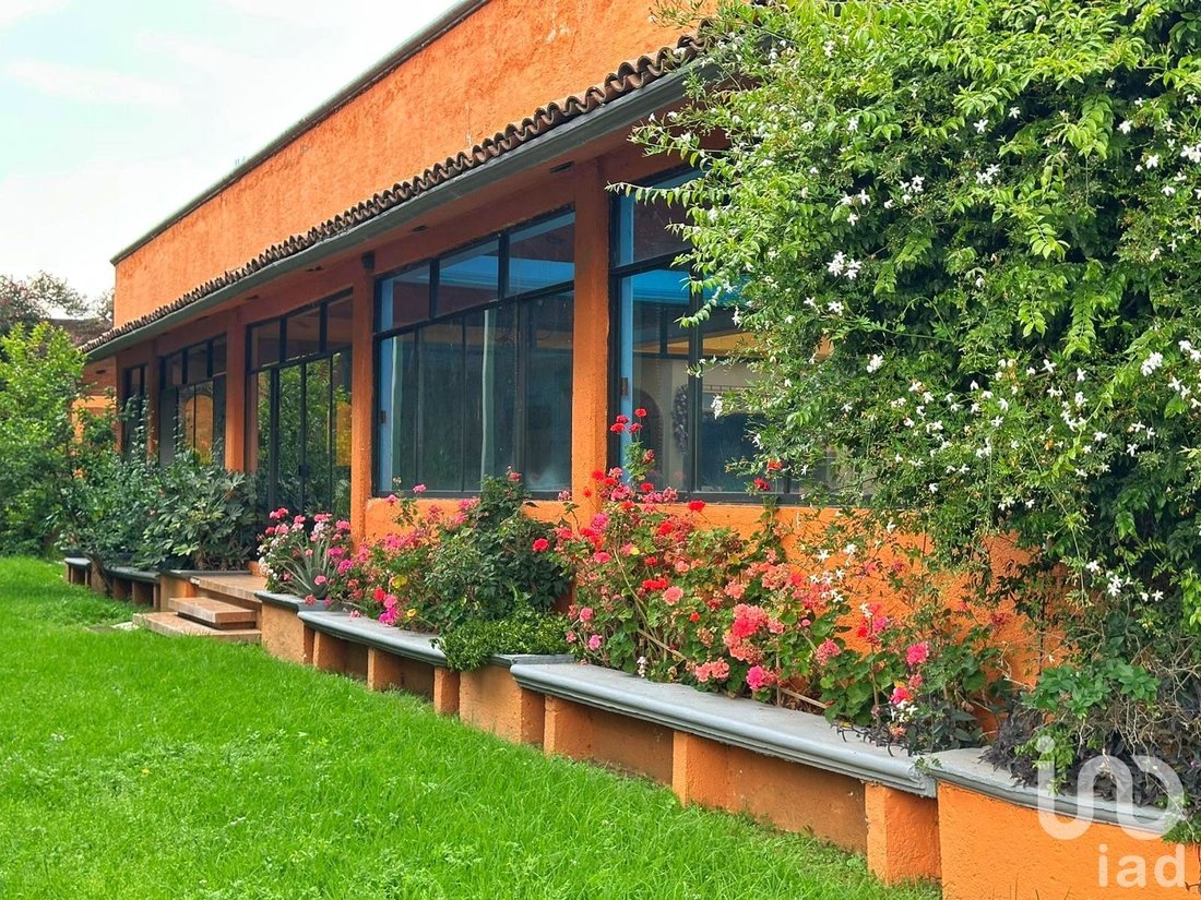 House in Mexico 1 - 16386917