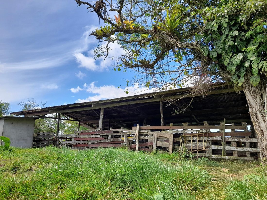 Finca in Plaza de Caisan, Chiriquí Province, Panama 2 - 16388310