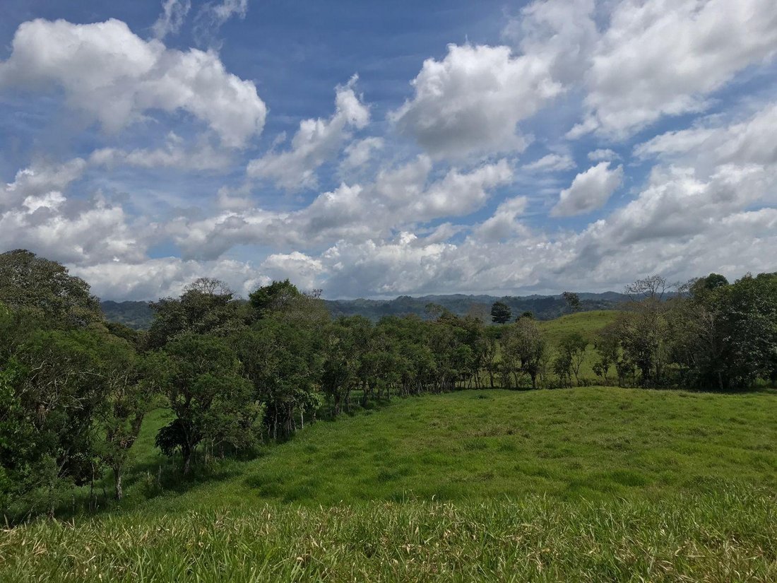 Finca in Plaza de Caisan, Chiriquí Province, Panama 5 - 16388310