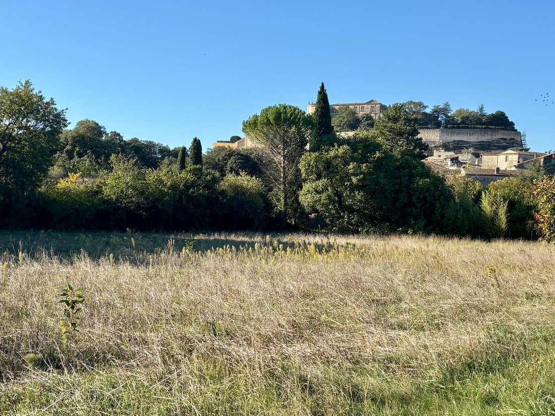 Land in Grignan, Auvergne-Rhône-Alpes, France 3 - 16386682