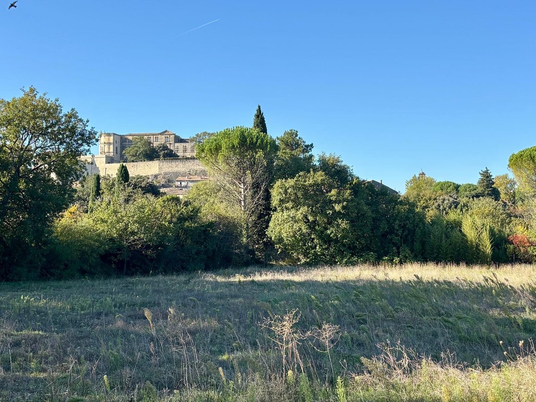 Land in Grignan, Auvergne-Rhône-Alpes, France 2 - 16386682