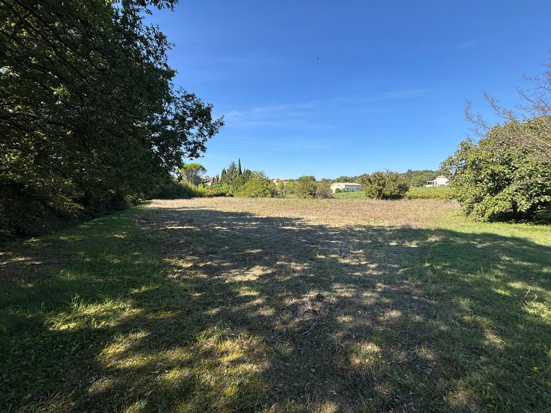 Land in Grignan, Auvergne-Rhône-Alpes, France 5 - 16386682