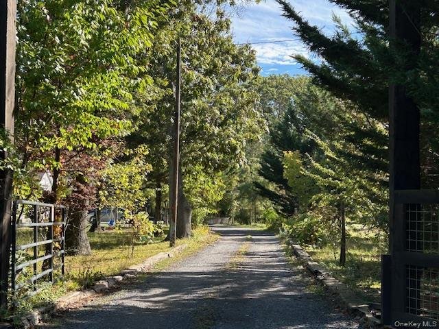 Medford, New York, United States 2 - 16390341