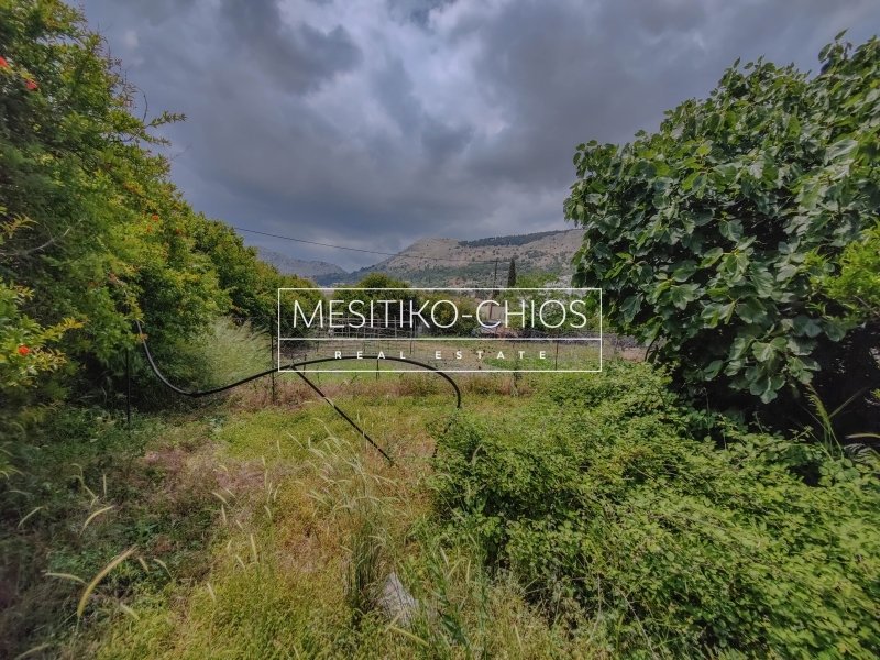 Land in Chios, Aegean, Greece 5 - 16386606