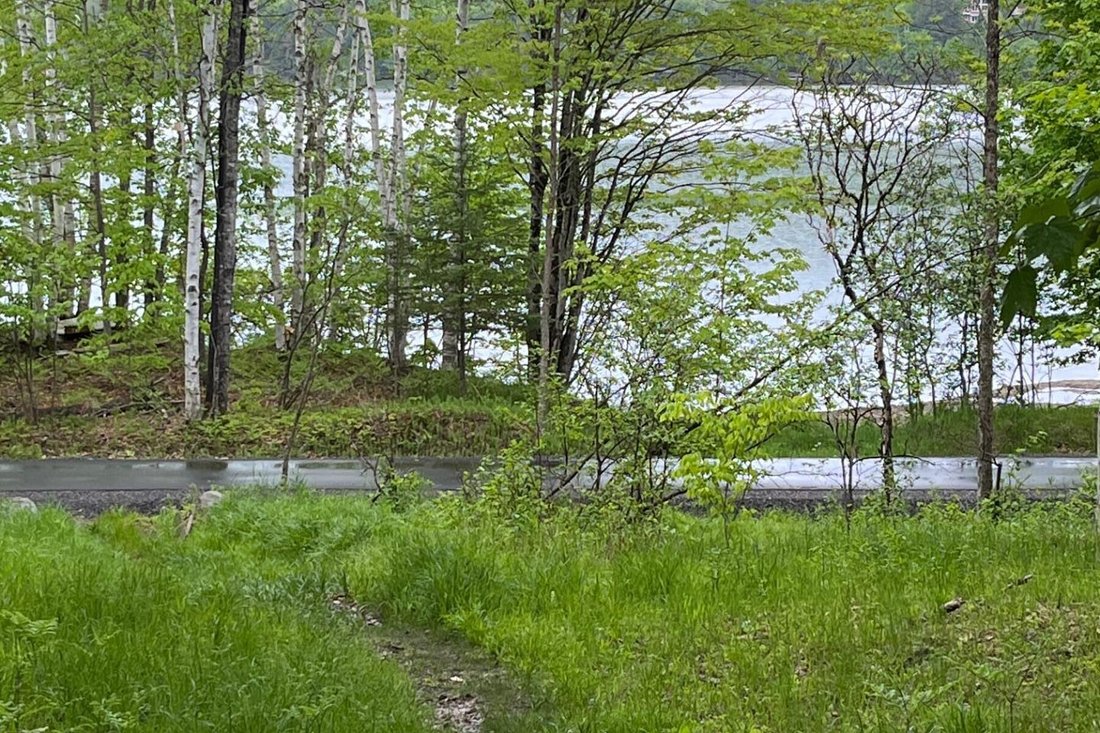 Land in Mont-Tremblant, Quebec, Canada 5 - 16391033