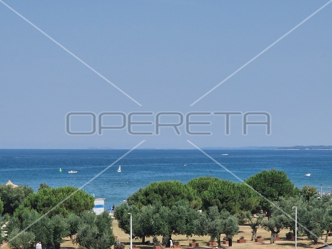 Villa in Fazana, Istria County, Croatia 2 - 16290855