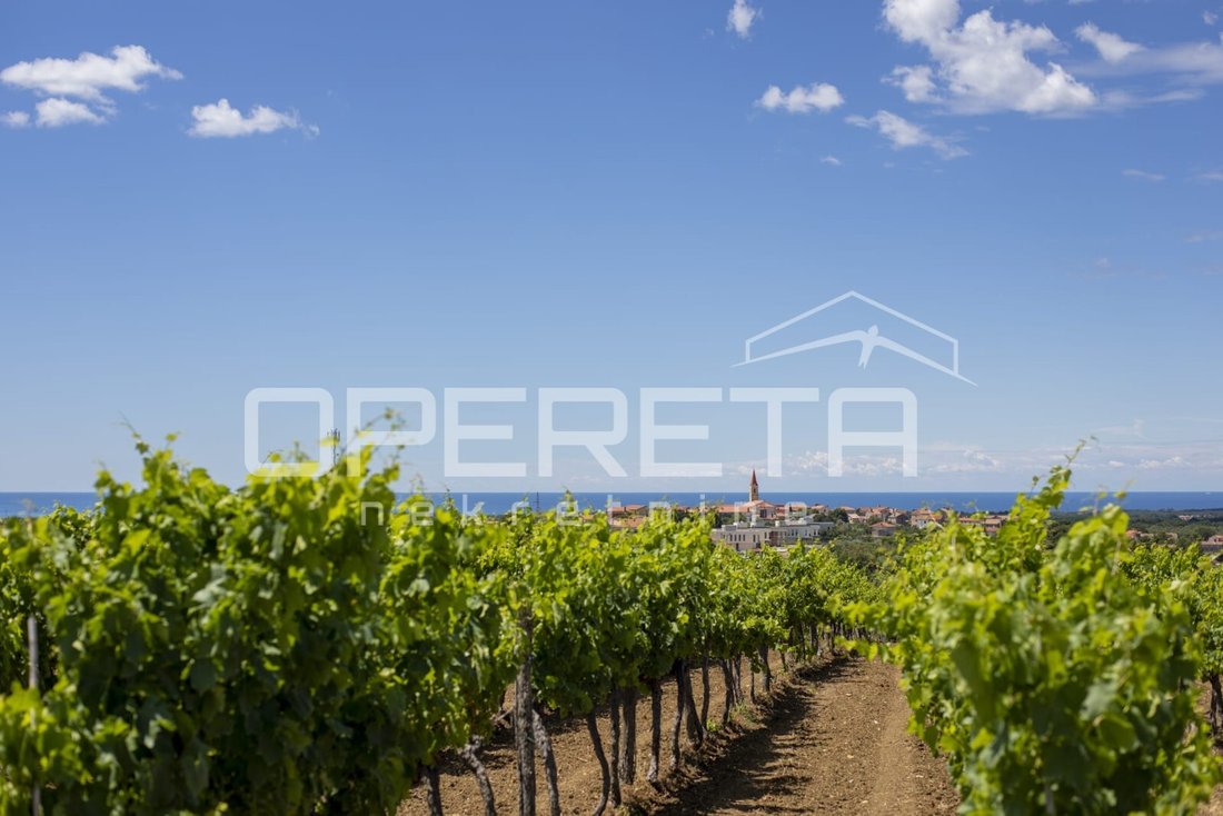 Villa in Brtonigla, Istria County, Croatia 3 - 16291008