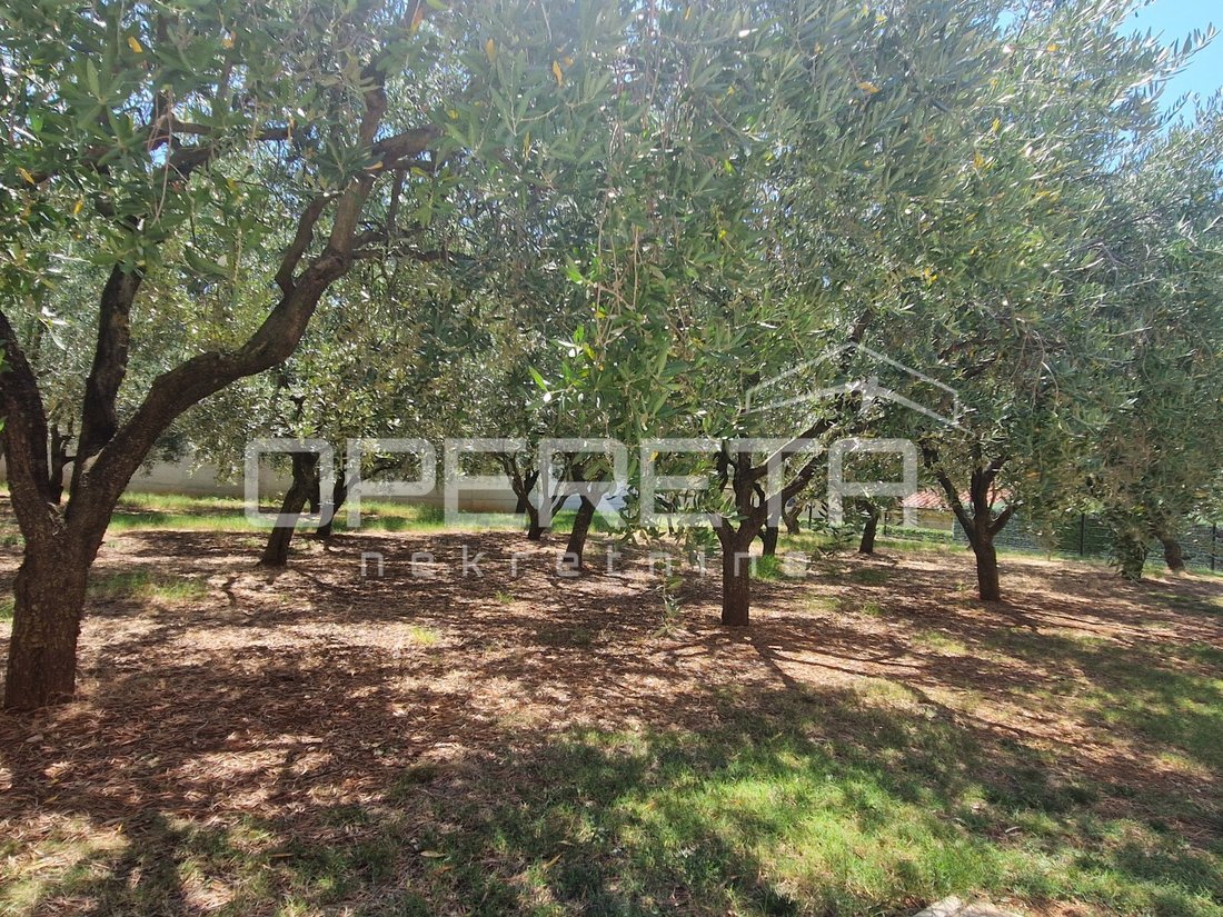 House in Galizana, Istria County, Croatia 4 - 16290983