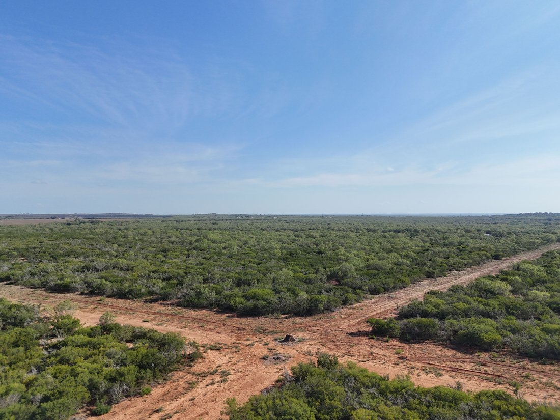 Farm Ranch in Pearsall, Texas, United States 3 - 16391091