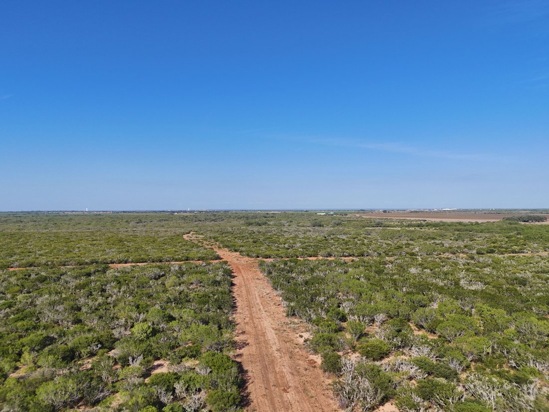 Farm Ranch in Pearsall, Texas, United States 2 - 16391091
