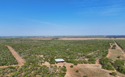 Farm Ranch in Pearsall, Texas, United States 1