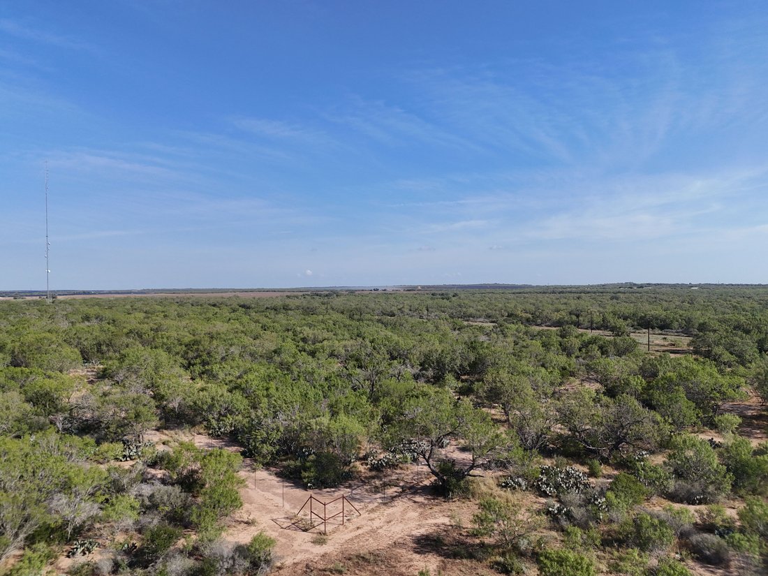 Farm Ranch in Pearsall, Texas, United States 5 - 16391091