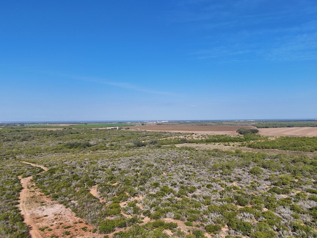Farm Ranch in Pearsall, Texas, United States 4 - 16391091