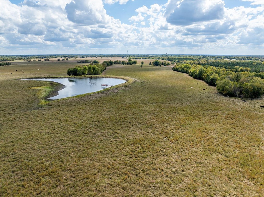 Farm Ranch in Blossom, Texas, United States 5 - 16391640