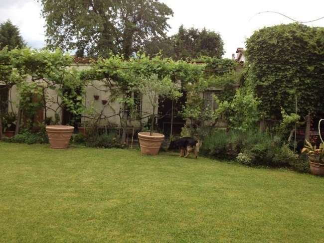 Villa in Barga, Tuscany, Italy 4 - 16393892