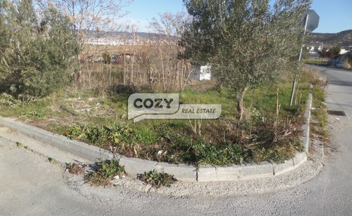 Land in Polichni, Macedonia and Thrace, Greece 1
