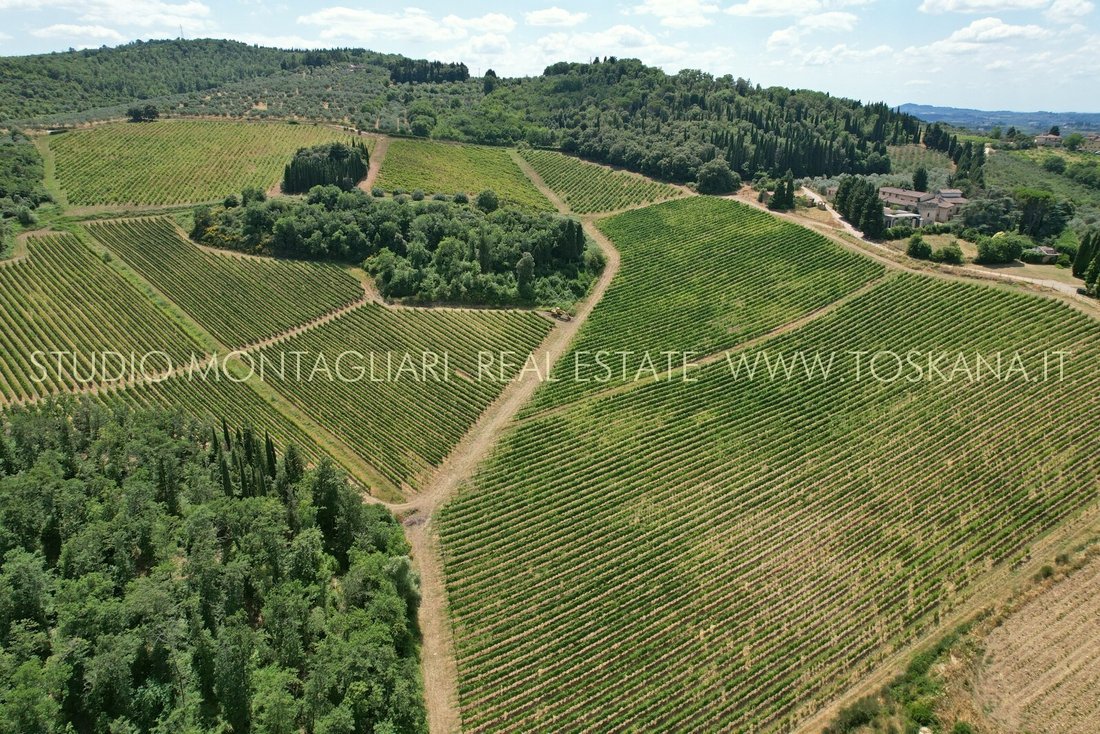 Estate in Center, San Casciano in Val di Pesa, Tuscany 5 - 16396494