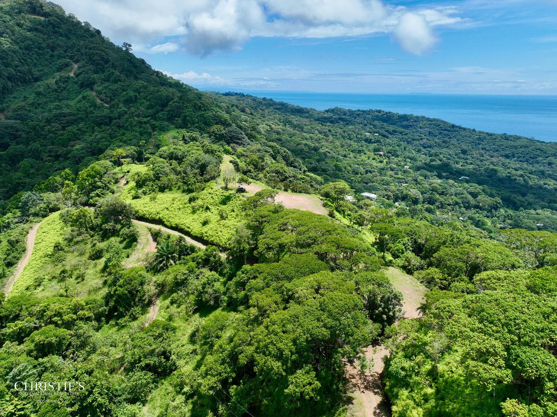 Land in Uvita, Puntarenas Province, Costa Rica 5 - 16395679