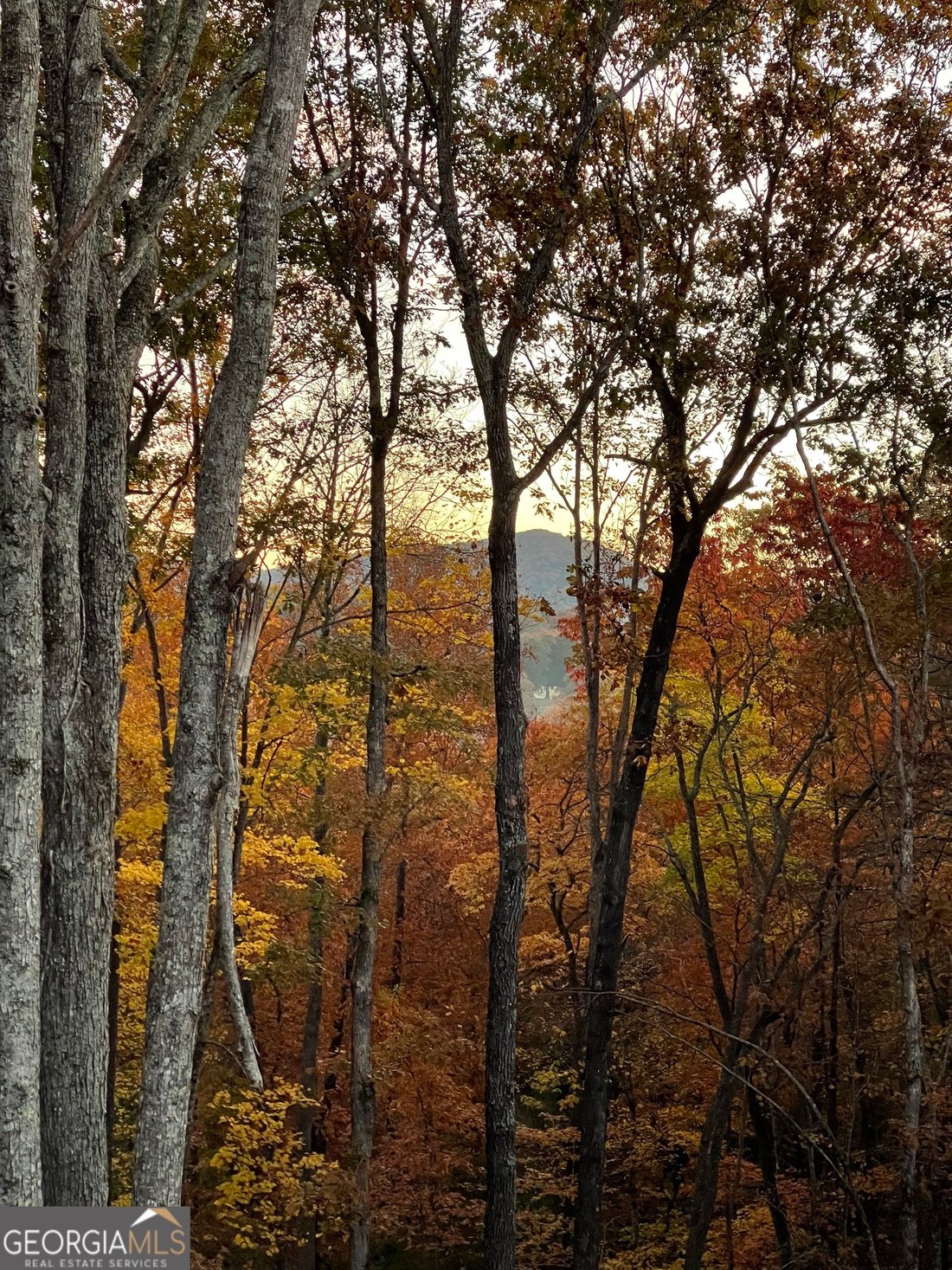 House in Morganton, Georgia, United States 3 - 16244374