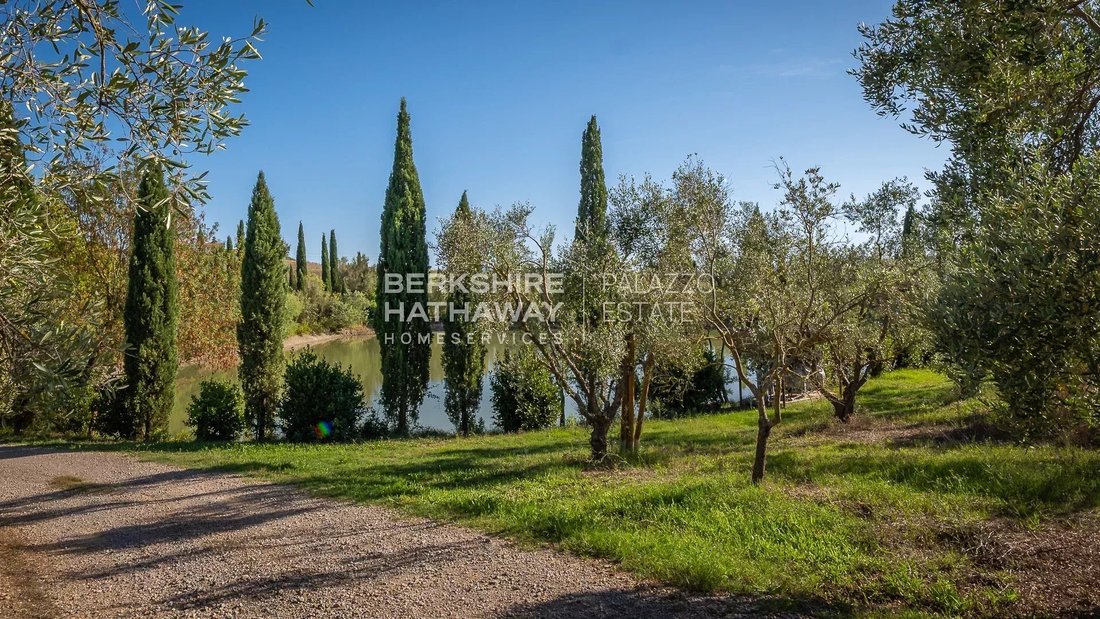 Farm Ranch in Manciano, Tuscany, Italy 4 - 16398759