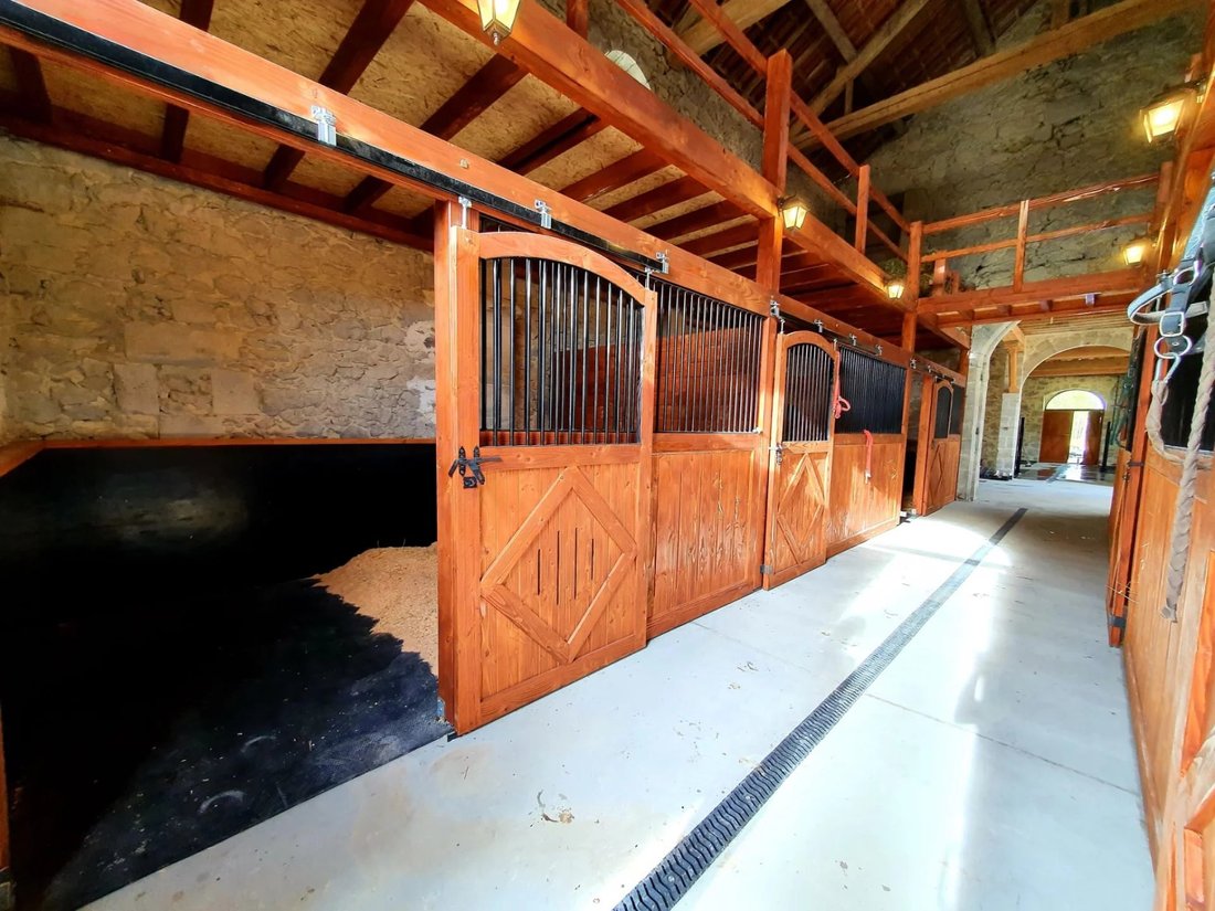 House in Saint-Vincent-de-Lamontjoie, Nouvelle-Aquitaine, France 2 - 16398745