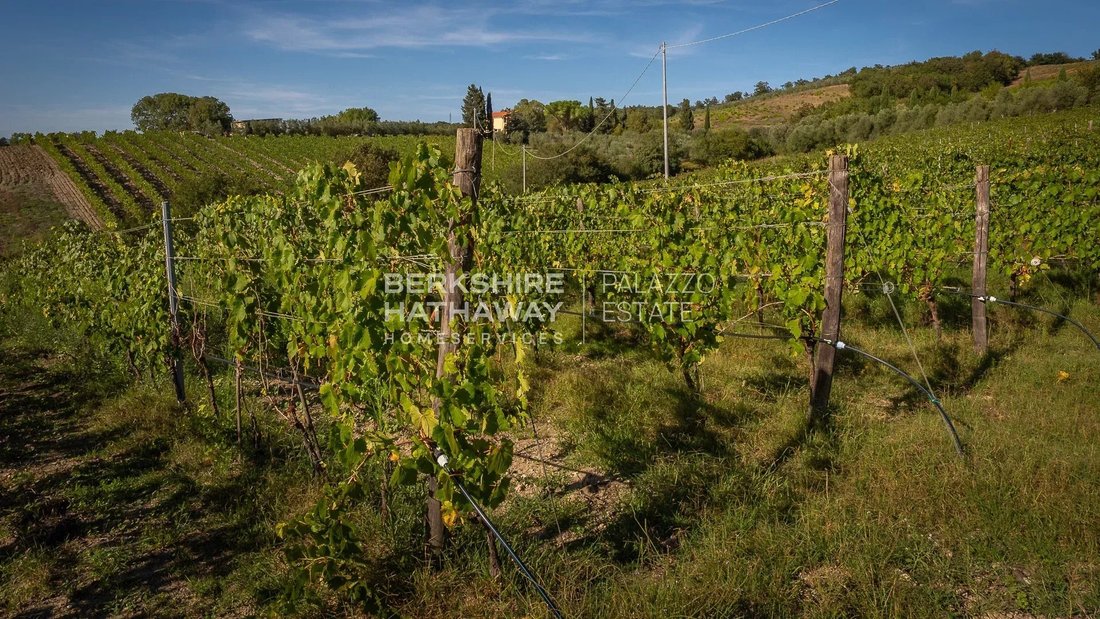 Farm Ranch in Manciano, Tuscany, Italy 2 - 16398759