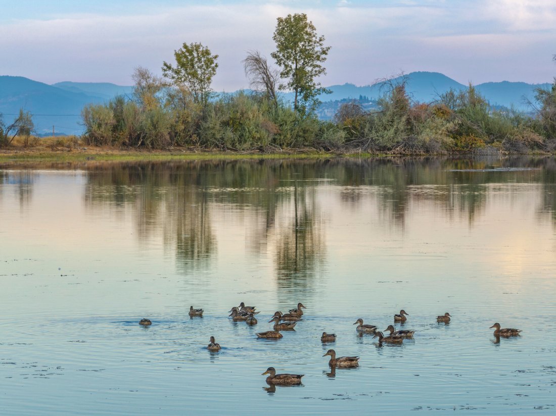 Land in Eagle Point, Oregon, United States 3 - 16399605