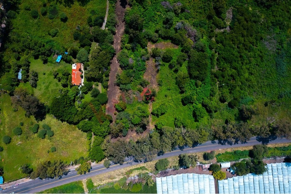 Land in San Pedro Tesistán, Jalisco, Mexico 4 - 16399666