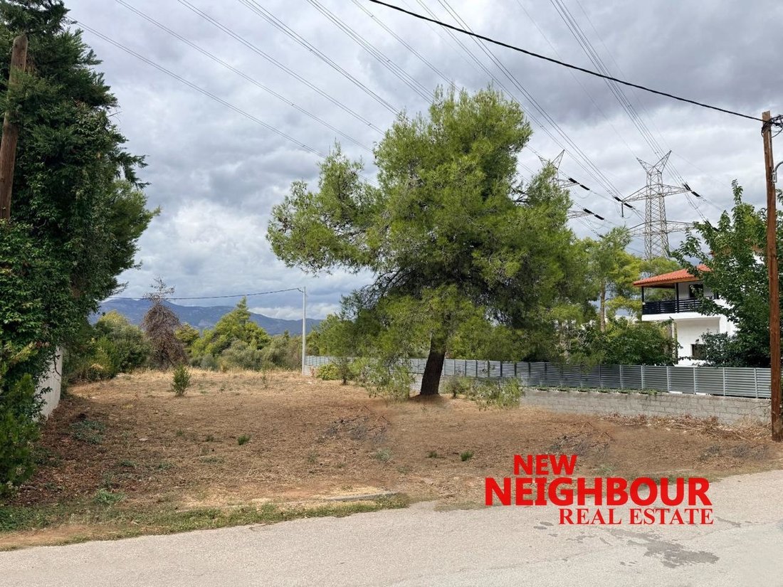Land in Dionysos, Attica, Greece 1 - 16399794