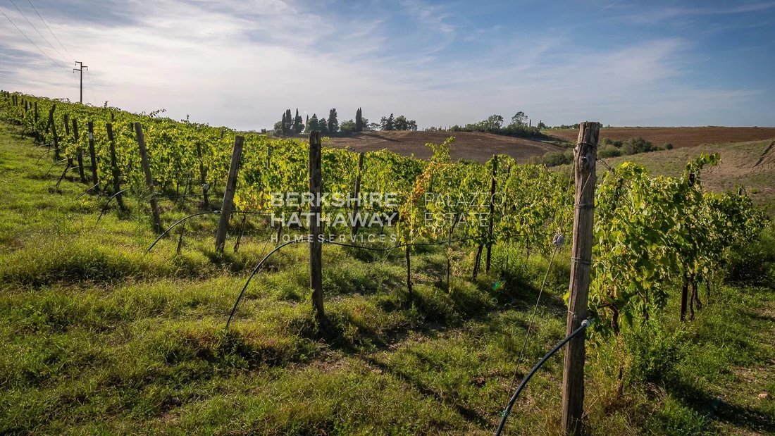 Farm Ranch in Manciano, Tuscany, Italy 3 - 16398759