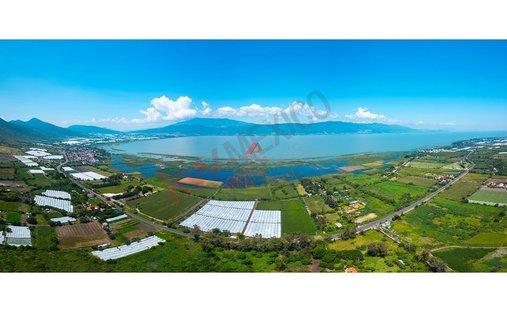 Land in San Pedro Tesistán, Jalisco, Mexico 1