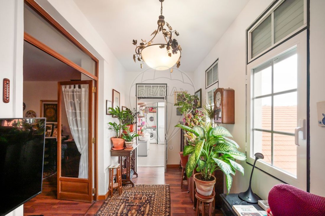 Apartment in Arroios, Lisbon, Portugal 5 - 16397306