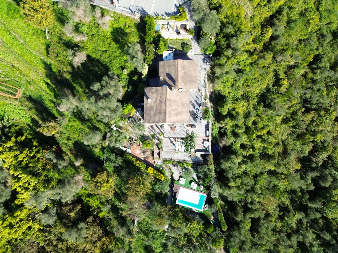 Villa in Cogorno, Liguria, Italy 5 - 16401102