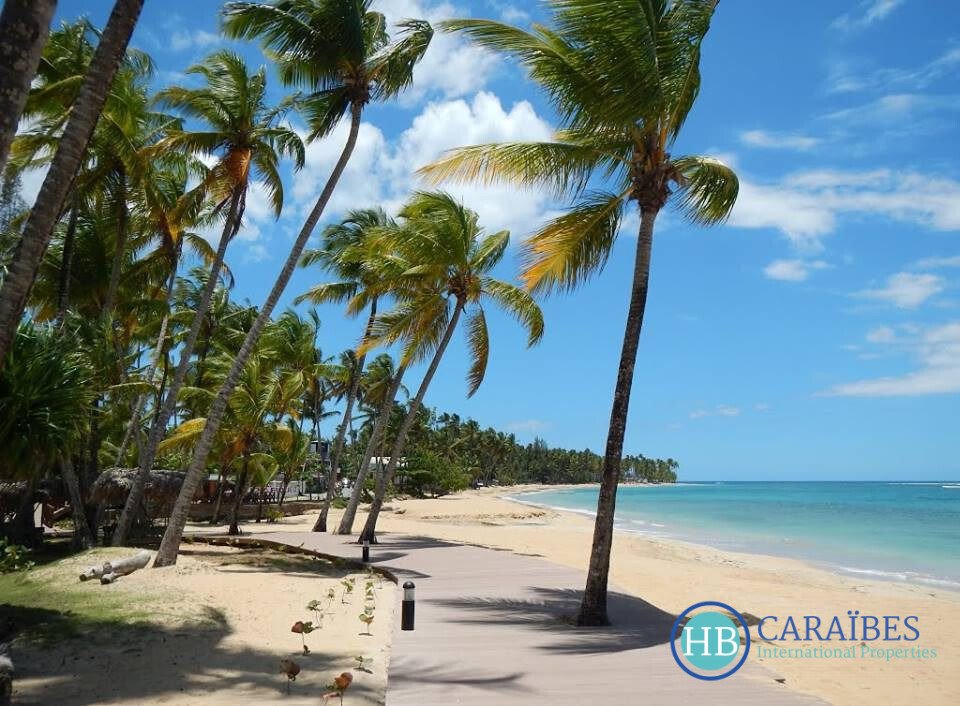 Las Terrenas, Samaná Province, Dominican Republic 1 - 16401495